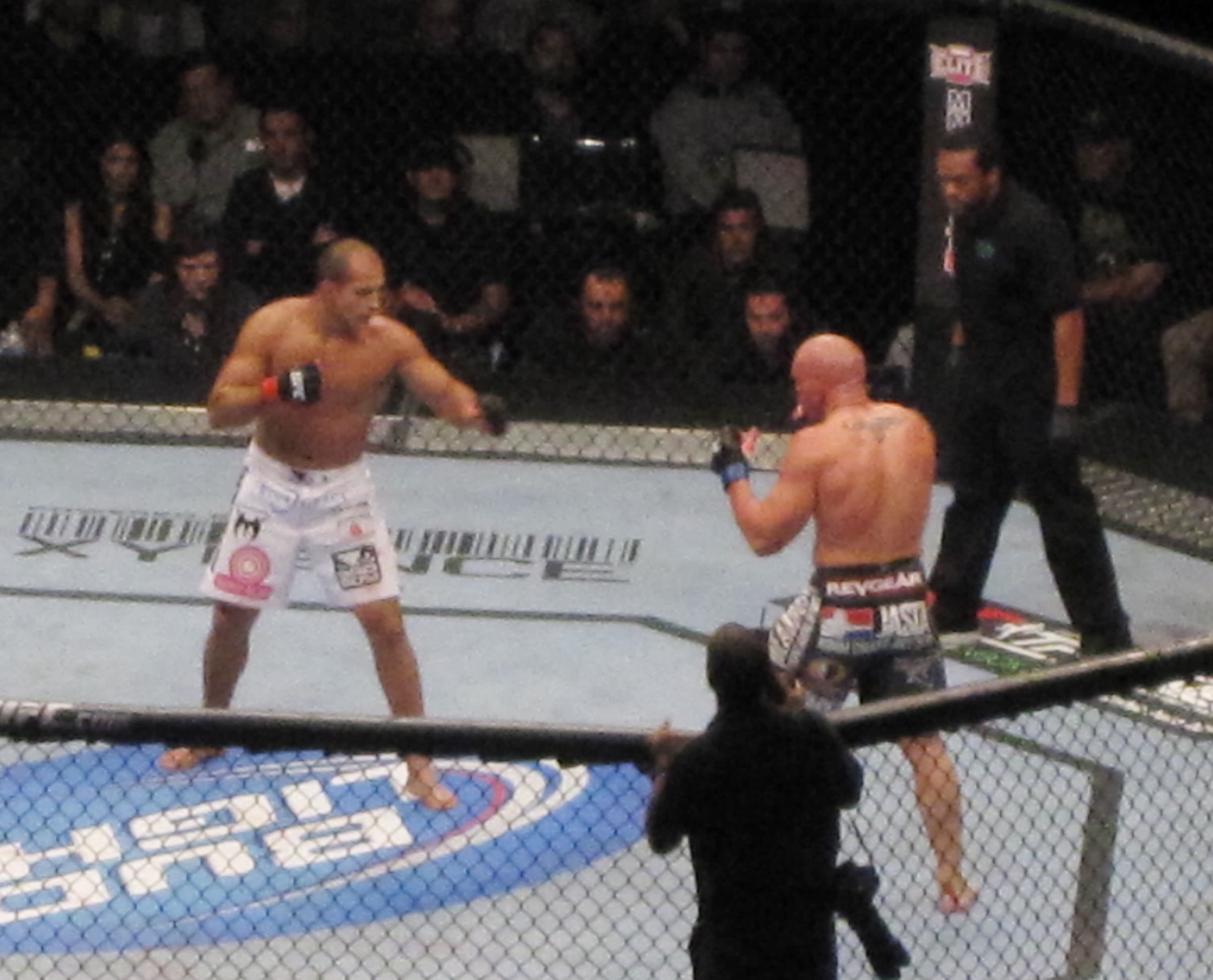 MMA & Boxing