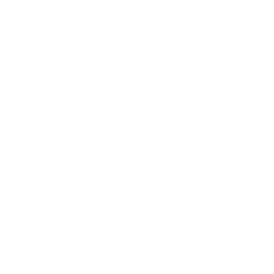 Zebre