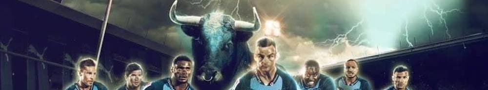 Bulls